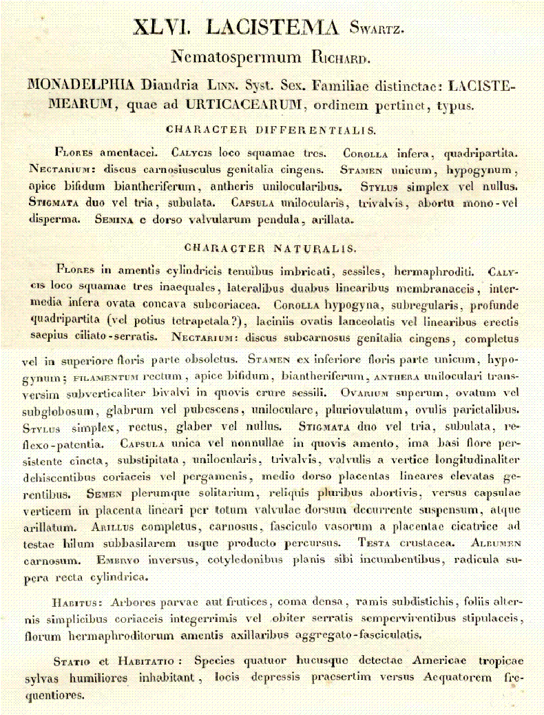 1826 Martius original document